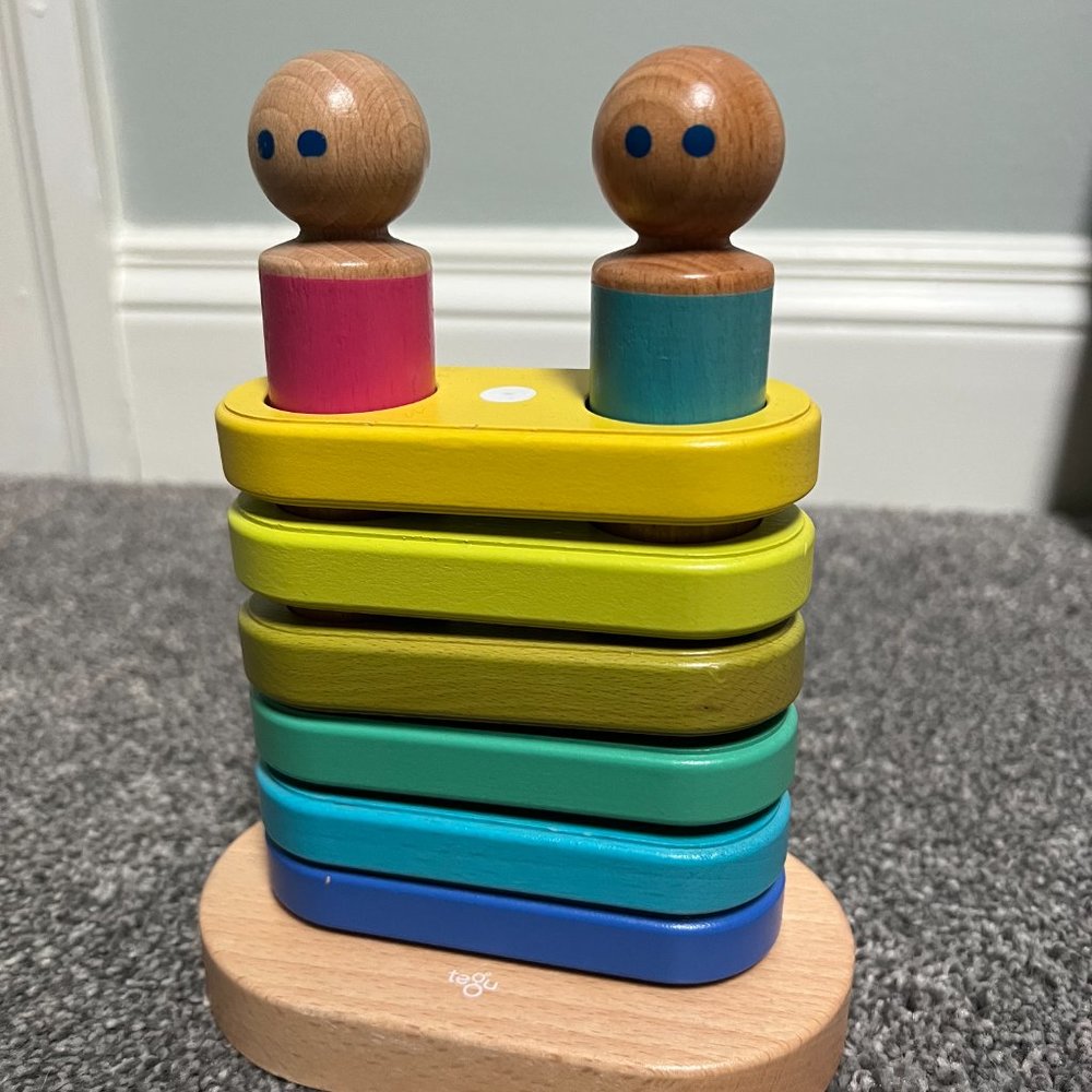 Tegu Toddler toys